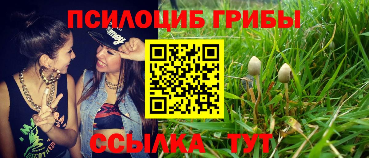 Галлюциногенные грибы Magic Shrooms Кунгур