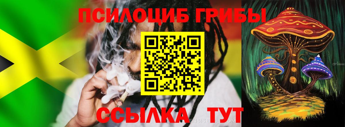 Галлюциногенные грибы Psilocybine cubensis  Вход с VPN  Кунгур 